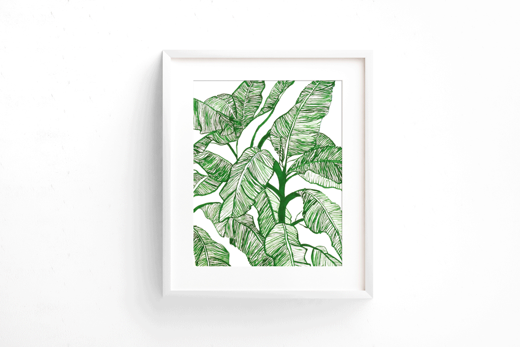 Botánica Musaceae - Imagen 3